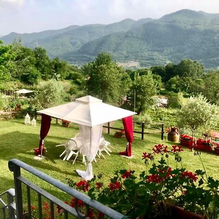 Agriturismo Il Frutteto Ghivizzano Exterior photo